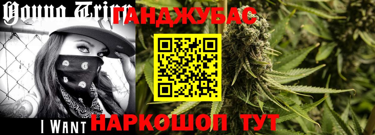 Бошки Шишки план  Бошки Шишки гибрид  Вход с VPN  МАРИХУАНА THC 21%  Канабис тримм  Михайловск 